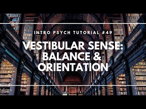 Introduction to Sensation and Perception Intro Psych Tutorial 40