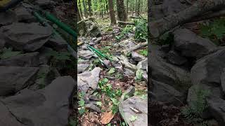 Cut Your Own Path: Obstacles Be Damned