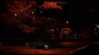 preview picture of video '【夜桜】日本さくら名所100選　広島県 庄原市 上野公園(2014)'
