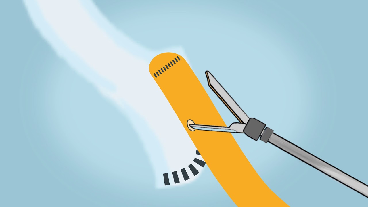 José Alfredo Jiménez Gómez-11