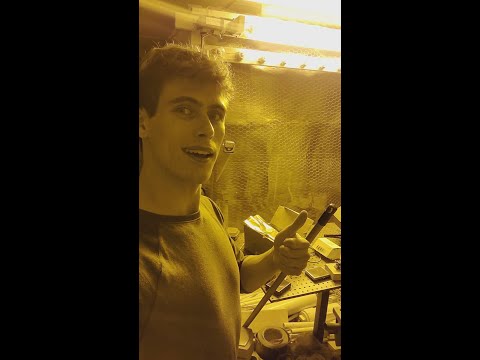 this lamp makes you colorblind