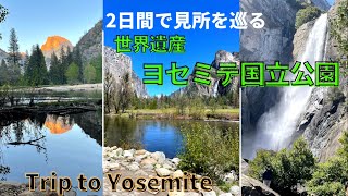 ヨセミテ国立公園で過ごす１泊２日/Veltraツアーでヨセミテの見どころを周ります/旅行気分/アメリカ生活/Trip to YOSEMITE in 2days/旅行Vlog