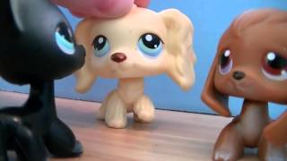 LPS My Evil Twin Season 3 Preview