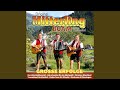 Der alte Holzknecht