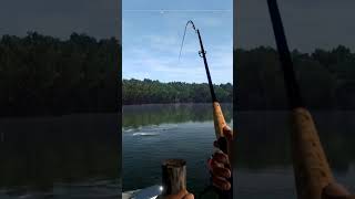 Blue Crab Island Unique Tarpon #gaming #fishingplanet #fishing