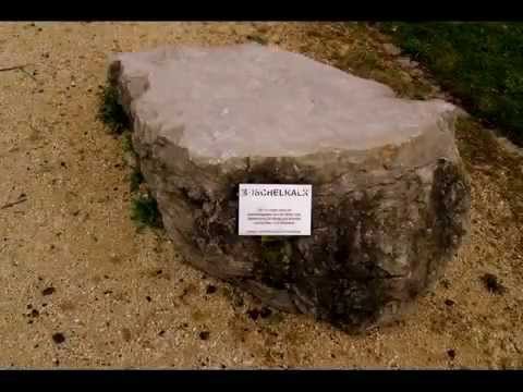 Bilder vom Park in Scharnhausen.