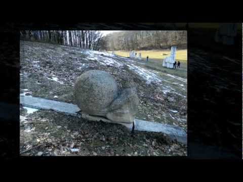 Muzeul Florean din Poiana Soarelui