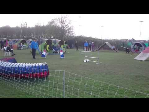 Wedstrijd Harderwijk Dirk en Kaya Vast parcours