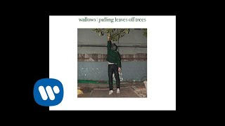 Pulling Leaves Off Trees Music Video