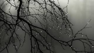 Send in the Clowns (sung by Ben Eagle)