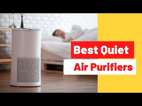 The 6 Best Quiet Air Purifiers Review in 2022