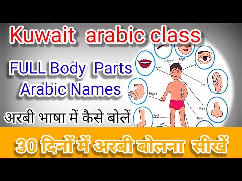 Body parts in Arabic for Beginners || How to say full body parts name ..!शरीर के अंगों को कैसे बोलें