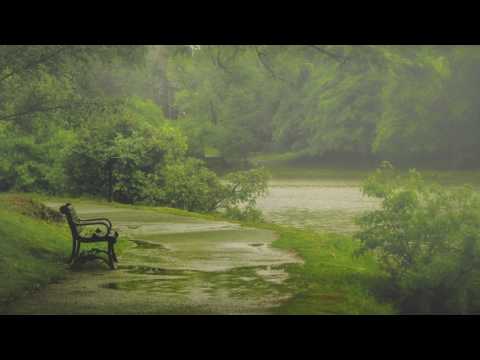 Ett stilla regn (Ted Gärdestad) Piano Cover | Loise