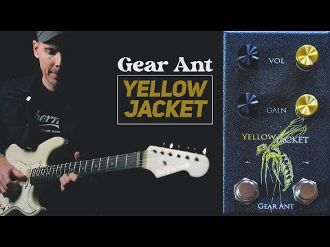 Demos in the Dark // Gear Ant YellowJacket Distortion // Guitar Pedal Demo