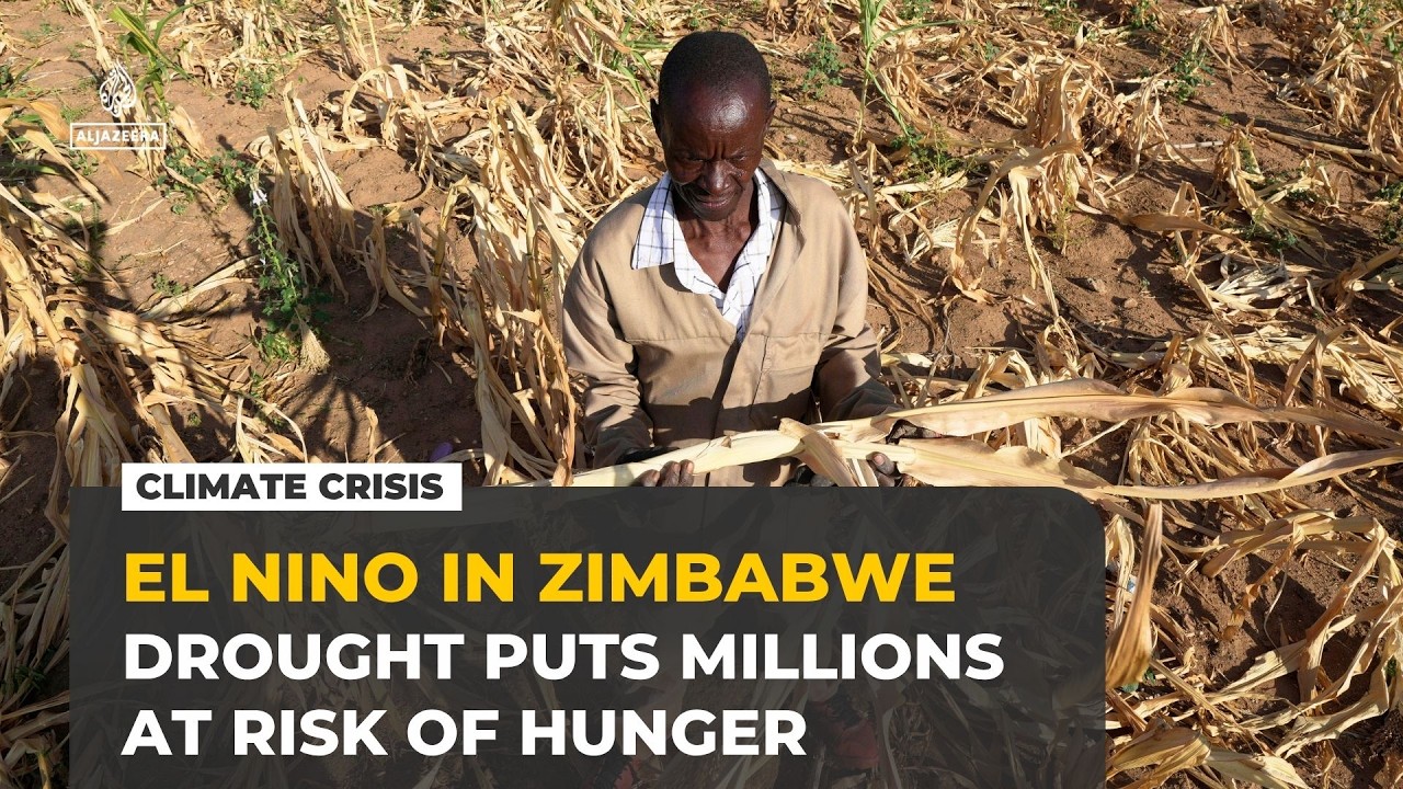 El Nino threatens Zimbabwe harvest as drought puts millions at risk of hunger