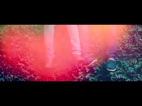 Reception highlights Sunil and sreepradha