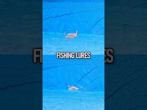 Fishing Lures- Expensive VS. Cheap!