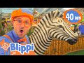 Blippi Learns Jungle Animals Animals For Kids Educational Videos For Children