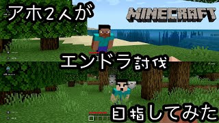 アホ2人がやるのんびり【マインクラフト】#1