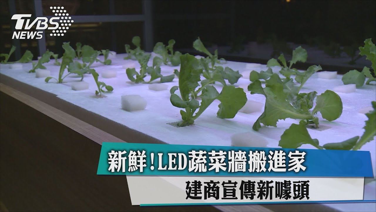 新鮮!LED蔬菜牆搬進家 建商宣傳新噱頭