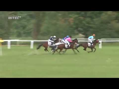 MI, 2. 6. 2018, 6. dostih - Cena firmy KM - Prona