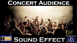Sound Effects Library - Crowd, Concert video