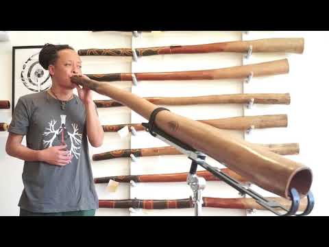 Jesse Lethbridge Didgeridoo key of D (#3991)