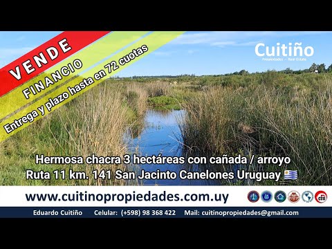 Hermosa chacra de 3 hectáreas con aguadas en San Jacinto Canelones Uruguay 🇺🇾 