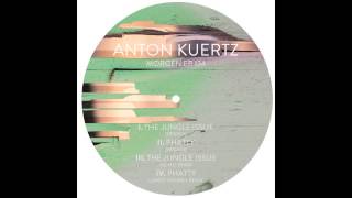 Anton Kuertz - Phatty (Camiel Daamen remix)