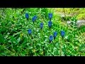 America - Walk in the Woods (HD) (2 of 3) - Outdoor Lens America - Walk in the Woods (HD) (2 of 3)