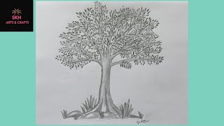 How to draw the Realistic Tree Pencil Sketch step by step / Neem Tree Drawing/ Pencil Drawing