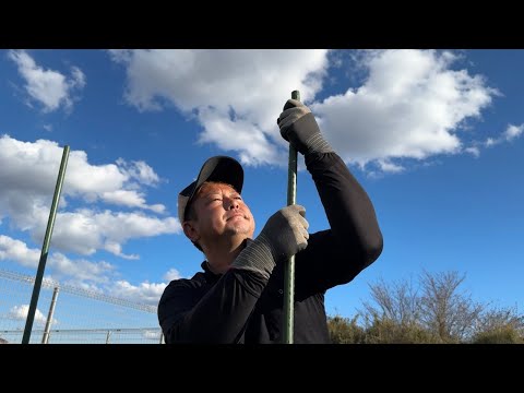 豆が入っている野菜は何ですか