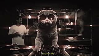 Download lagu DJ AVANGARD X ARIA DROP BBHC SLOWED SOUD VIRAL YANG KALIAN CARI 2026 mp3