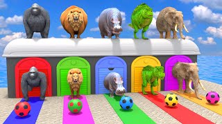 Download lagu Long Slide Game With Cow Elephant Gorilla Hippopotamus Tiger - 3d Animal Game - Funny 3d Animals mp3
