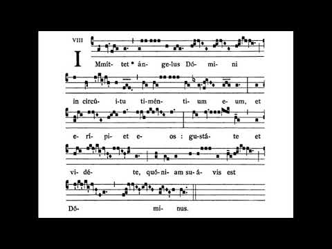 Offertory chant EF: 14th Sunday after Pentecost - Immittet Angelus Domini