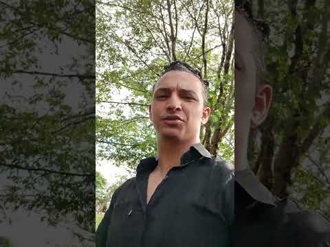 Jésupolis Goiás ♥️