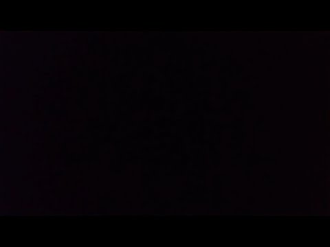 Got Cha: Malena Perez