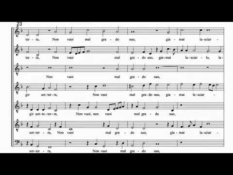 Orlande de Lassus   Lagrime di San Pietro  XVI  O vita troppo rea360p H 264 AAC