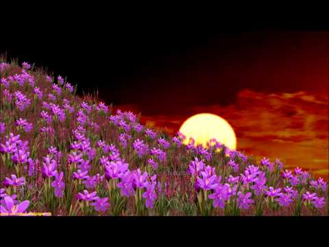 Aris Ramos - Te Marcha de mi lado