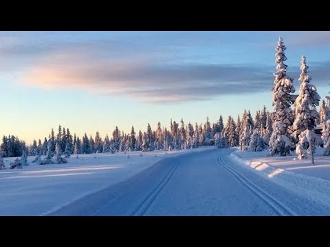 2021 Winter Mix (Melodic House) (including Nora en Pure, Sound Quelle, Marsh, Avira, Booka Shade)