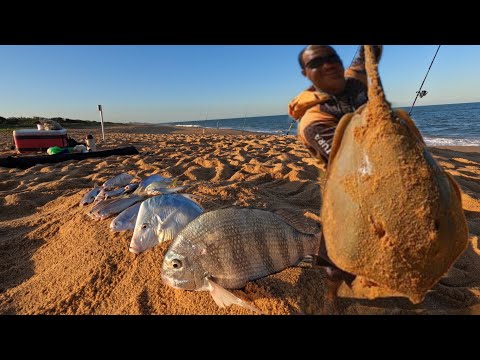 PRAIA dos GIGANTES! COMO PESCA NA PRAIA E TER muito RESULTADO