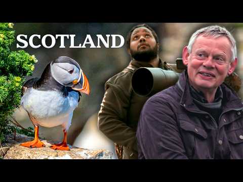 Into the Wild: Scotland’s Untamed Secrets