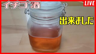 手作りイチゴ酒が完成！まったり飲みながら話す