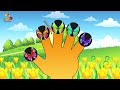 Butterfly Finger Family Finger Family Songs Nursery Rhymes Rhymes For Children Kinderland