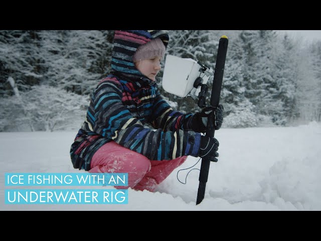 Video Aussprache von Averie in Englisch