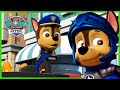 Chase Y Los Cachorros Salvan Barkingburg Y Más PAW Patrol Episodio Español Español
