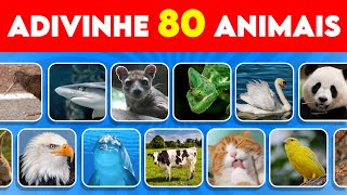 Você Consegue Adivinhar 80 Animais em 3 Segundos? | Fácil, Médio, Difícil, Impossível