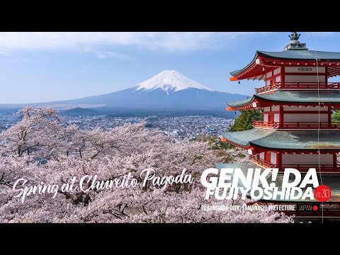 ［広報ふじよしだ2025年5月号］山梨県富士吉田市 忠霊塔からの富士山と桜 動画でみるふじよしだ　Vol30