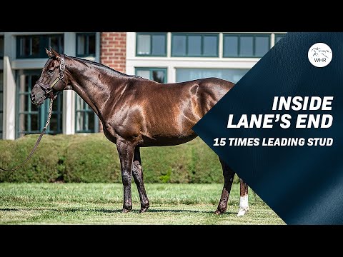 Lane's End: Birthplace Of The Stars