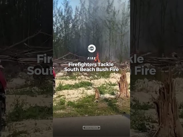 Vídeo relacionado con Mister Bush Fire: Information never before revealed to mankind